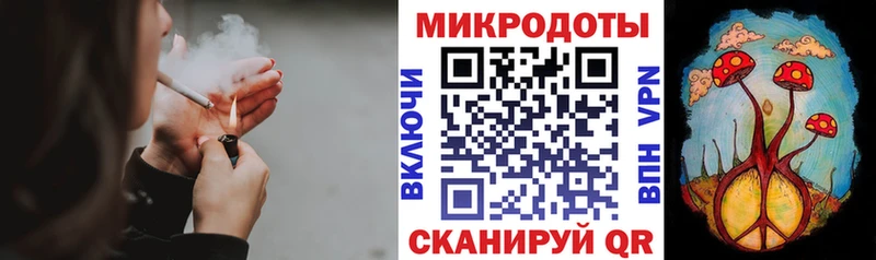 Купить  Приволжский  Галлюциногенные грибы Magic Shrooms 